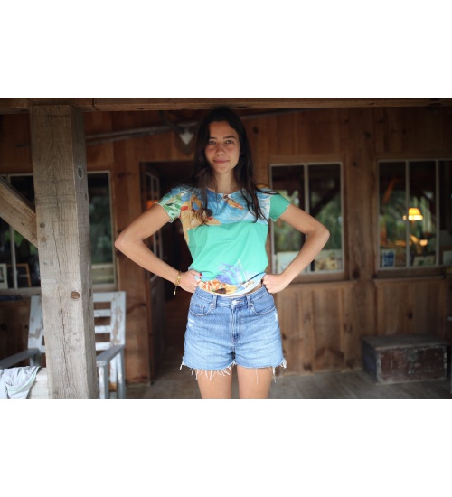Surf Color