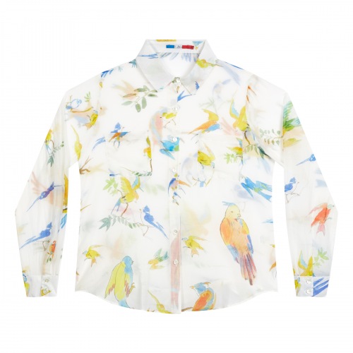 Flying Birds