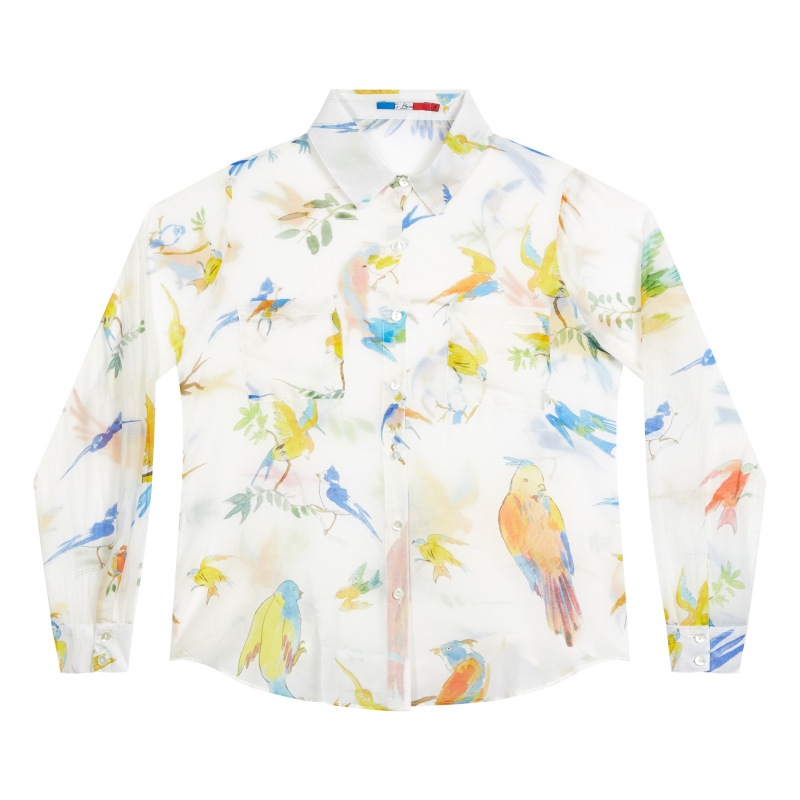 Flying Birds