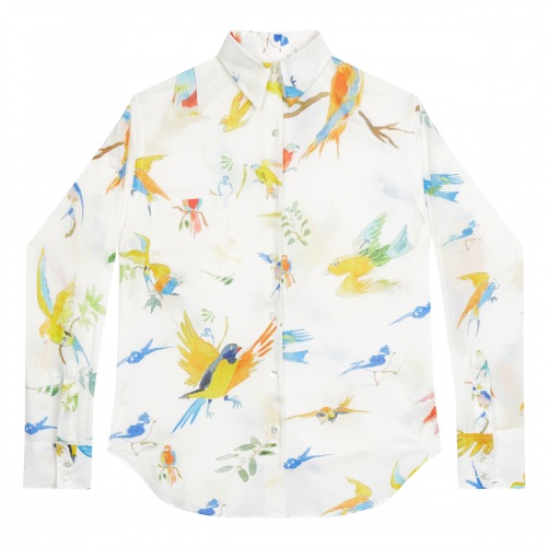 Flying Birds