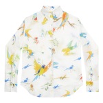 Flying Birds